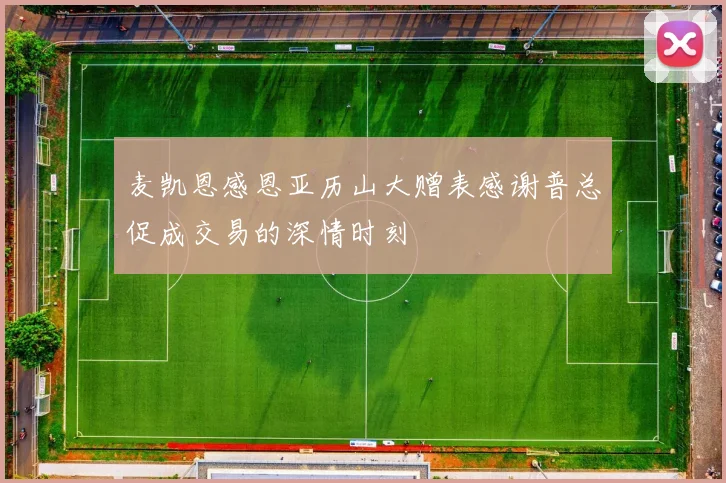 麦凯恩感恩亚历山大赠表感谢普总促成交易的深情时刻