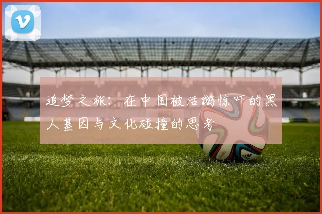 追梦之旅：在中国被活鹅惊吓的黑人基因与文化碰撞的思考